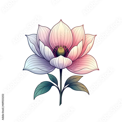 Delicate Lotus Flower in Gradient Colors