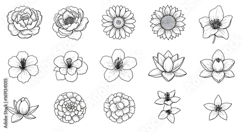 Collection of hand-drawn monochrome floral illustrations, various flower types, detailed line art.