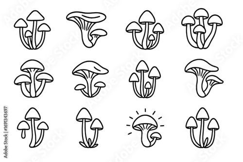 Bioluminescent Fungi Icons. Outline icon set of Bioluminescent fungi species: Mycena chlorophos, Omphalotus olearius, Panellus