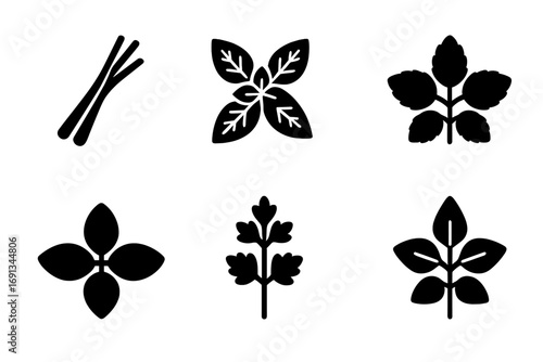 Aromatic Herb Icons. Solid, filled icon set of aromatic herbs: lemongrass, peppermint, spearmint, lemon balm, basil, coriander,
