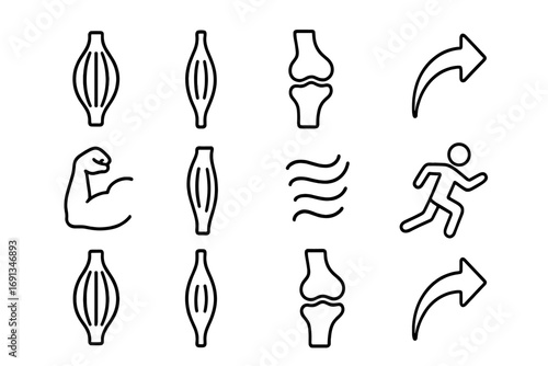 Muscle Movement Icons. Outline icon set of how muscles move: bicep icon, tendon, joint, arrow movement, flexed