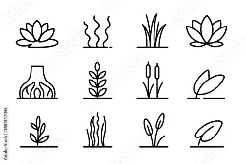 Aquatic Plant Icons. Outline icon set of aquatic plants: water lily, algae, reed grass, lotus flower, mangrove