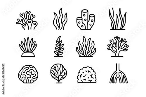 Coral Reef Icon Set. Outline icon set of coral reef vegetation: coral polyps, seaweed, sponge, seagrass,
