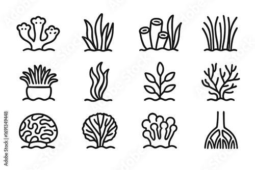 Coral Reef Icon Set. Outline icon set of coral reef vegetation: coral polyps, seaweed, sponge, seagrass,