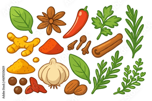 Spices and herbs vector set. Cooking ingredients collection. Seasoning for food. Healthy organic spice. Aromatic flavor. Ginger, garlic, chili, cinnamon, rosemary, anise.
