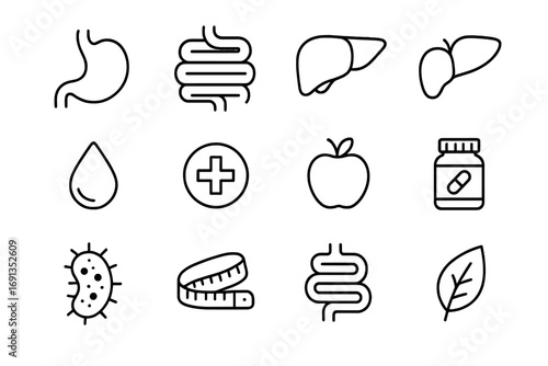 Digestive Health Icons. Outline icon set of digestive system wellness: stomach, intestine, liver, pancreas,
