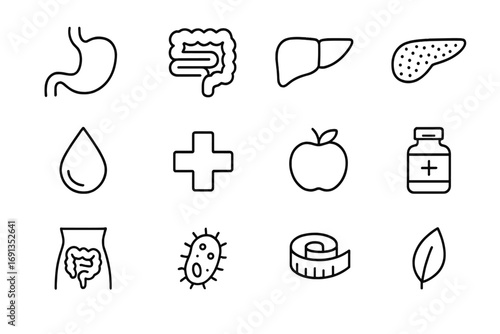 Digestive Health Icons. Outline icon set of digestive system wellness: stomach, intestine, liver, pancreas,