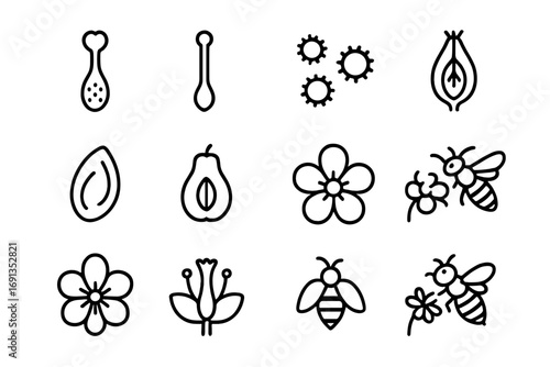 Flower Reproduction Icons. Outline icon set of flower reproduction: pistil, stamen, pollen, ovary, seed, fruit