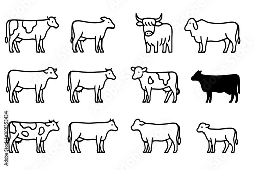 Cow Breeds Icon Set. Outline icon set of cow breeds: Holstein cow, Jersey cow, Highland cow, Brahman cow, Guernsey cow, Brown