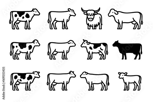 Cow Breeds Icon Set. Outline icon set of cow breeds: Holstein cow, Jersey cow, Highland cow, Brahman cow, Guernsey cow, Brown