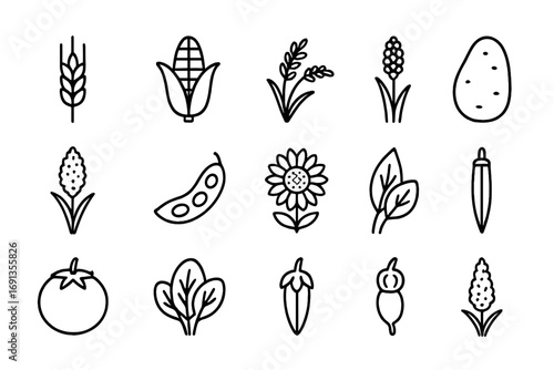Crop Diversification Icons. Outline icon set of Crop diversification strategies: wheat, maize, rice, millet,