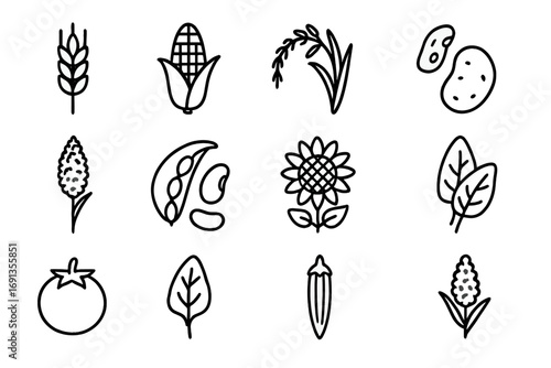 Crop Diversification Icons. Outline icon set of Crop diversification strategies: wheat, maize, rice, millet,