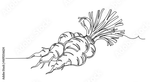 Monoline drawing of a carrot on transparent background  
