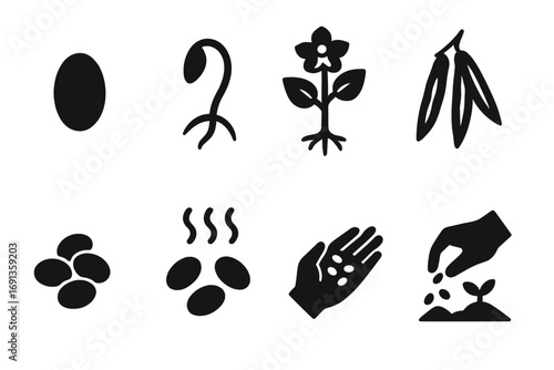 Mung Bean Growth Cycle. Solid, filled icon set of mung bean plant stages: seed, sprout, flowering plant, green pods, harvested