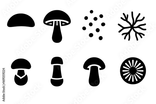 Mushroom Anatomy Icons. Solid, filled icon set of mushroom anatomy: cap, stem, gills, spores, mycelium, volva, ring, spore print.