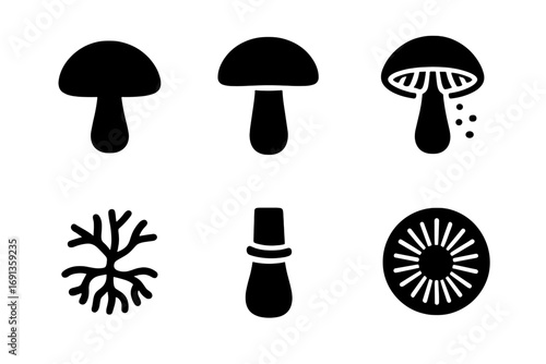 Mushroom Anatomy Icons. Solid, filled icon set of mushroom anatomy: cap, stem, gills, spores, mycelium, volva, ring, spore print.