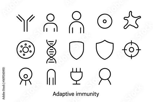 Adaptive Immunity Icons. Outline icon set of adaptive immunity: antibody, T-cell, B-cell, antigen, memory cell