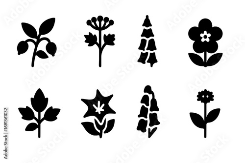 Poisonous Plants Icons. Solid, filled icon set of poisonous plants: belladonna, hemlock, foxglove, oleander, poison ivy,