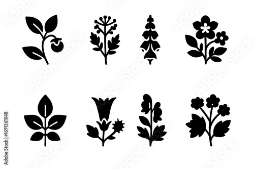 Poisonous Plants Icons. Solid, filled icon set of poisonous plants: belladonna, hemlock, foxglove, oleander, poison ivy,