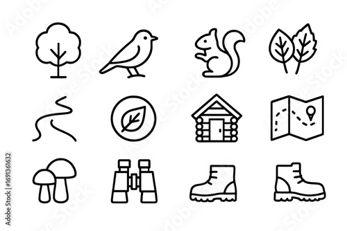 Forest Ecotourism Icons. Outline icon set of forest ecotourism: tree, bird, squirrel, leaves, path, eco badge,