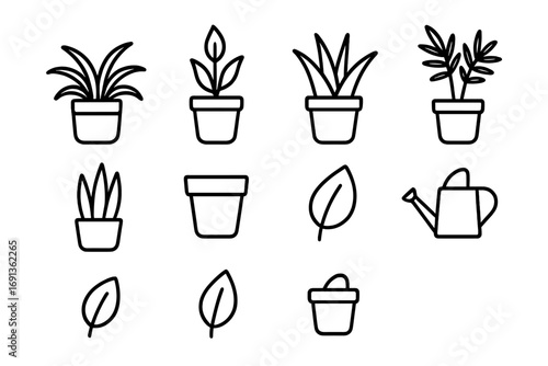 Indoor Plant Icon Set. Outline icon set of indoor plants for air quality: spider plant, peace lily, aloe vera,