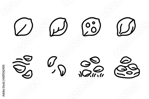 Rose Petal Icons. Outline icon set of rose petals in nature: fresh petal, wilted petal, dew-covered petal, dried petal, wind