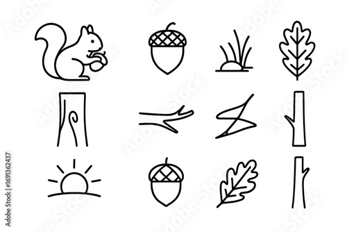 Squirrel Icon Set. Outline icon set of squirrel gathering acorns: squirrel, acorn, forest floor, oak leaf,