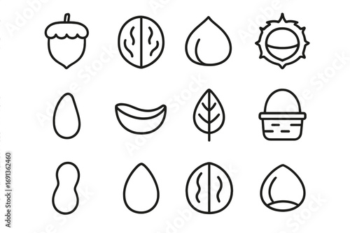 Nut Icon Collection. Outline icon set of acorn and nut collection: acorn, walnut, hazelnut, chestnut, pine nut