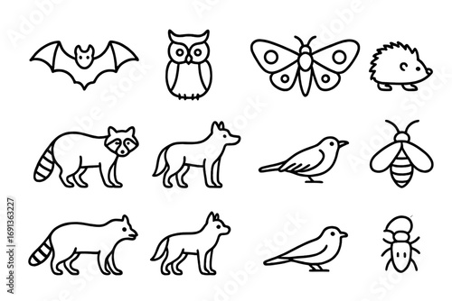 Nocturnal Creatures Icons. Outline icon set of nocturnal migrations: bats, owls, moths, hedgehogs, raccoons,