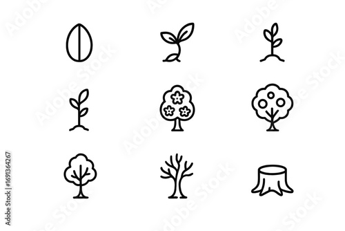 Tree Lifecycle Icons. Outline icon set of tree lifecycle: seed pod, germination, seedling, sapling, flowering