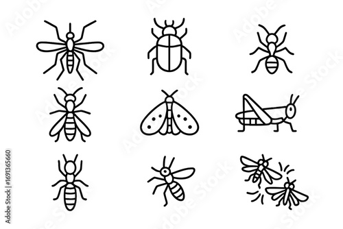 Invasive Insects Icons. Outline icon set of invasive insects: mosquito, beetle, ant, wasp, moth, grasshopper,