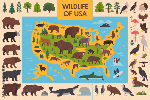 A detailed infographic map of the United States featuring iconic American wildlife and diverse native fauna