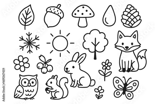 Woodland Seasonal Doodles. Hand-drawn doodle illustration woodland seasonal changes leaf, acorn, mushroom, pinecone, snowflake,