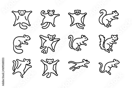 Gliding Mammals Icons. Outline icon set of arboreal mammals with gliding ability: flying squirrel, sugar glider, colugo, flying