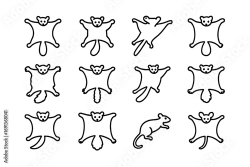 Gliding Mammals Icons. Outline icon set of arboreal mammals with gliding ability: flying squirrel, sugar glider, colugo, flying