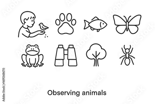 Animal Observation Icons. Outline icon set of Observing animals: child feeding bird, paw print, fish,