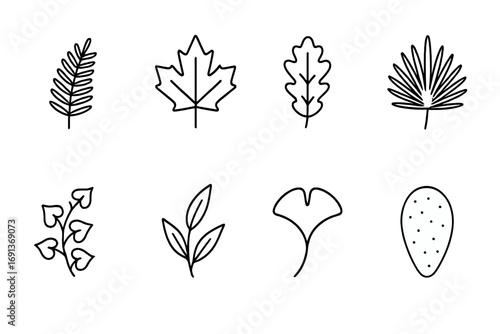 Leaf Icon Set. Outline icon set of Leaf patterns: fern frond, maple leaf, oak leaf, palm leaf, ivy vine,