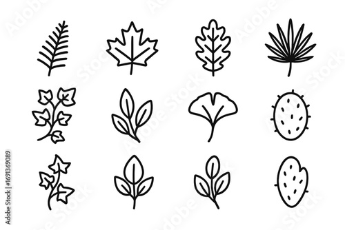 Leaf Icon Set. Outline icon set of Leaf patterns: fern frond, maple leaf, oak leaf, palm leaf, ivy vine,