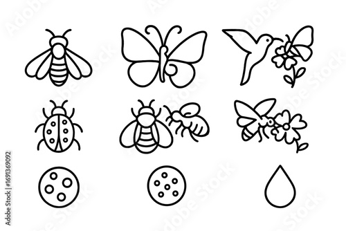 Pollinator Icon Set. Outline icon set of Pollinators: honeybee, butterfly proboscis, hummingbird sipping