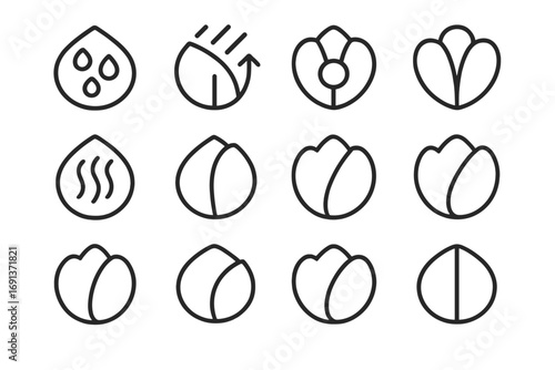 Petal Adaptations Icons. Outline icon set of petal adaptations: wax coating, water repellent, UV pattern,