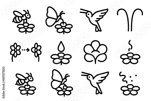 Pollinator Interaction Icons. Outline icon set of pollinator interactions: bee landing, butterfly feeding,