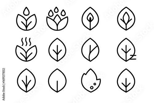 Petal Adaptations Icons. Outline icon set of petal adaptations: wax coating, water repellent, UV pattern,