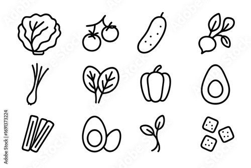 June Salad Ingredients. Outline icon set of June salad ingredients: lettuce head, cherry tomatoes, cucumber, radish, green onion,
