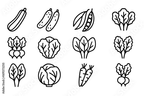 June Vegetable Icons. Outline icon set of June vegetable harvest: zucchini, cucumbers, green beans, peas, radishes, lettuce,