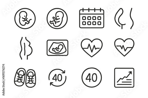 Pregnancy Stages Icons. Outline icon set of stages of pregnancy: embryo, fetus, calendar months, growing belly