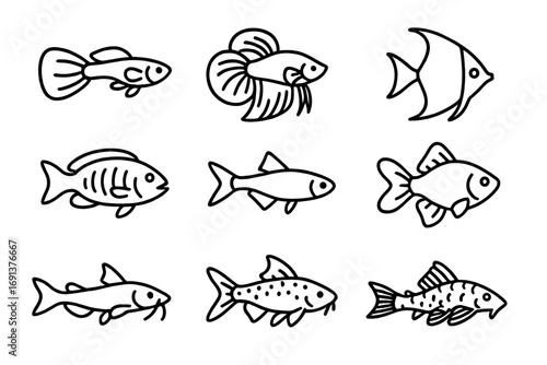 Aquarium Fish Icons. Outline icon set of fish species for aquariums: guppy, betta fish, angelfish, cichlid,
