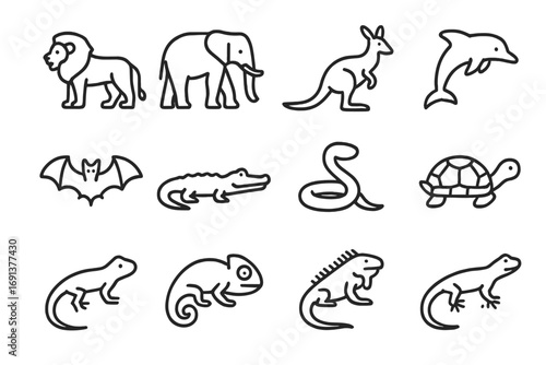 Mammal and Reptile Icons. Outline icon set of mammals and reptiles comparison: lion, elephant, kangaroo, dolphin, bat, crocodile,