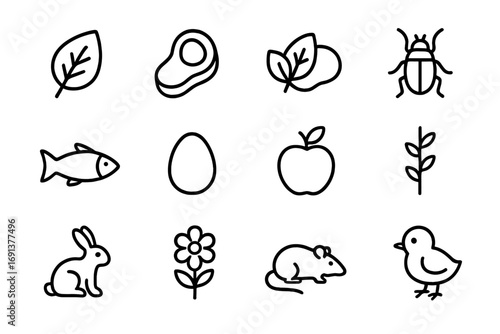 Mammal vs Reptile Diet Icons. Outline icon set of mammal vs reptile diet: herbivore leaf, carnivore meat, omnivore mix, insect,