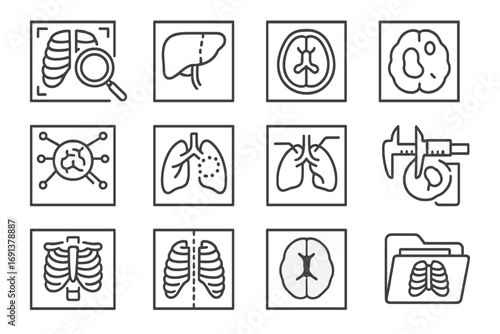 Medical Icons Set. Outline icon set of Medical image analysis: magnifying glass on scan, segmented organ diagram, cross-section
