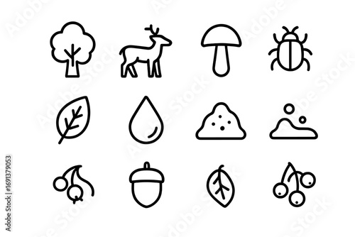 Forest Ecosystem Icons. Outline icon set of forest ecosystem: tree, animal, mushroom, insect, leaf, water